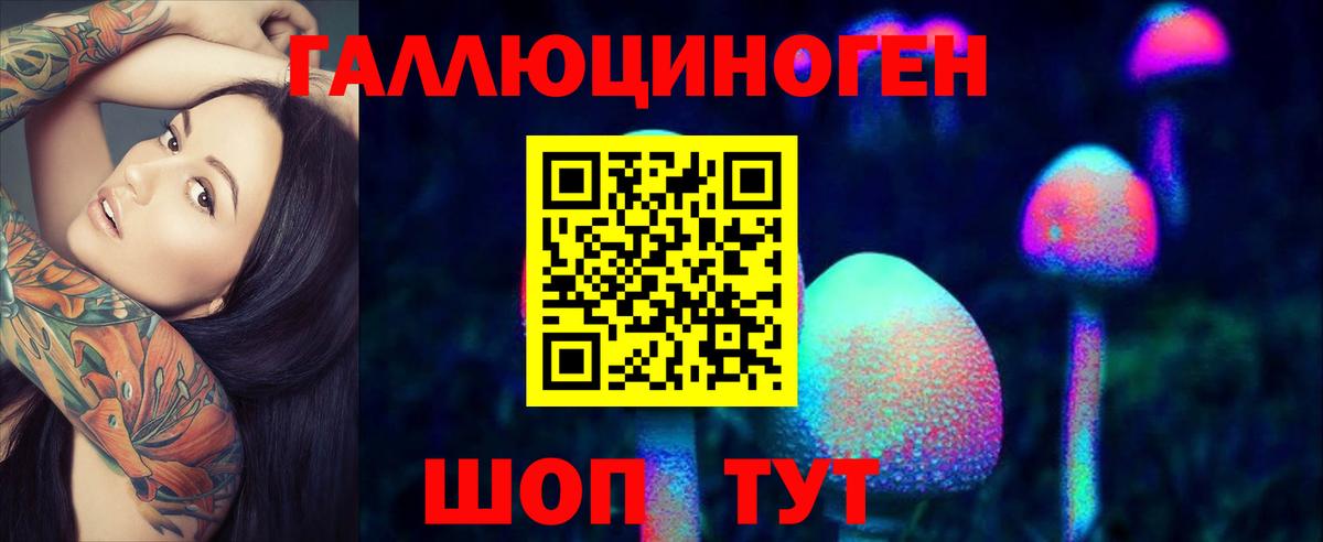 Мурино  где можно купить наркотик  Вход с VPN  Псилоцибиновые грибы GOLDEN TEACHER 